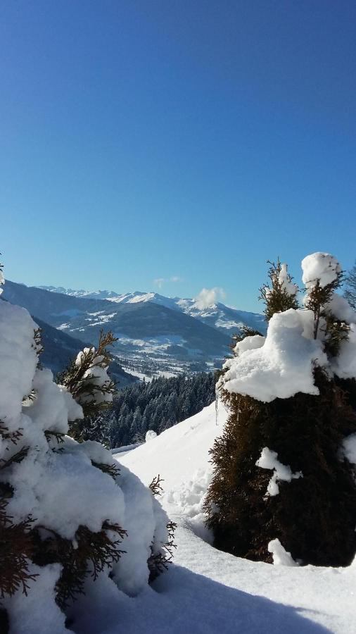 Reiterbauer Chalets & Ferienwohnungen Kirchberg in Tirol Buitenkant foto